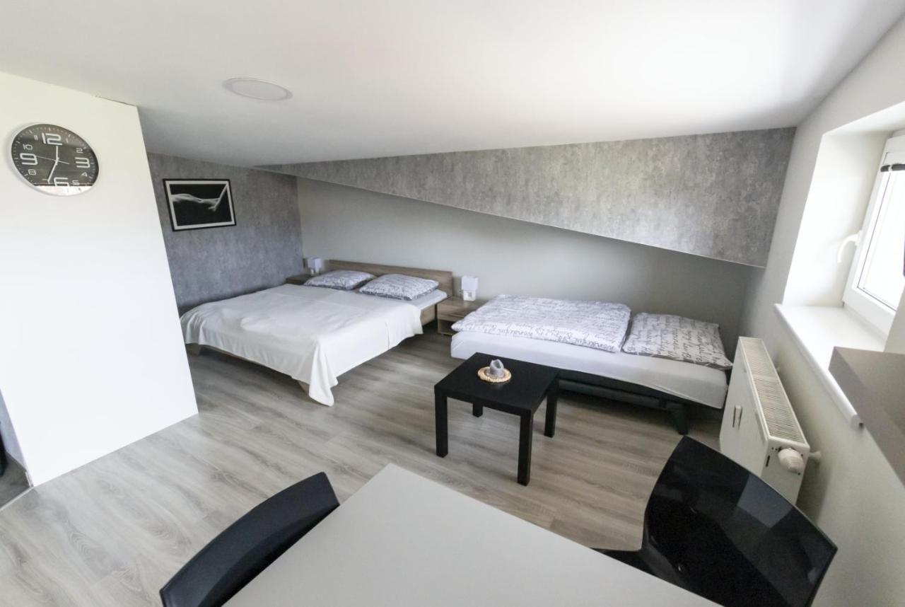 Apartman Theo เวลคี สลาวโคว์ ภายนอก รูปภาพ